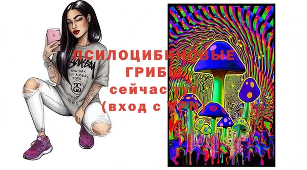 2c-b Иннополис