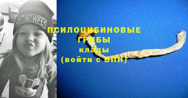 2c-b Иннополис