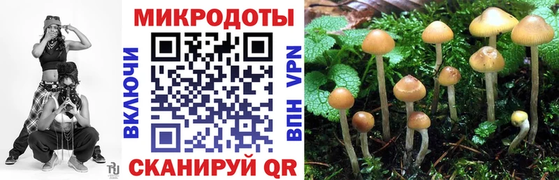 Купить  Гаврилов-Ям  Галлюциногенные грибы прущие грибы 